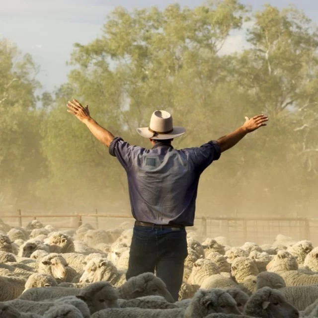 Earn $AUD while you experience Australia with our new Farm Work Program. LIVE NOW! 
Check out our website for further info; https://www.internshipsdownunder.com/farm-work-program/